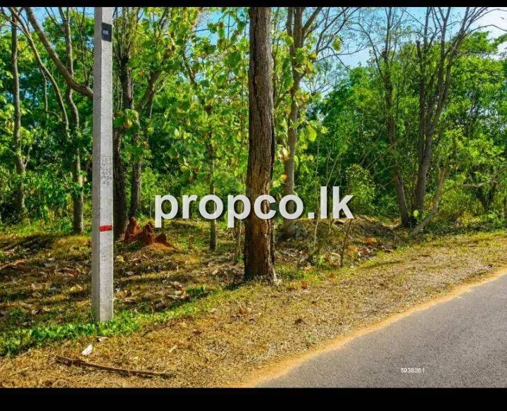 50 Perches Bare Land for Sale in Sooriyawewa