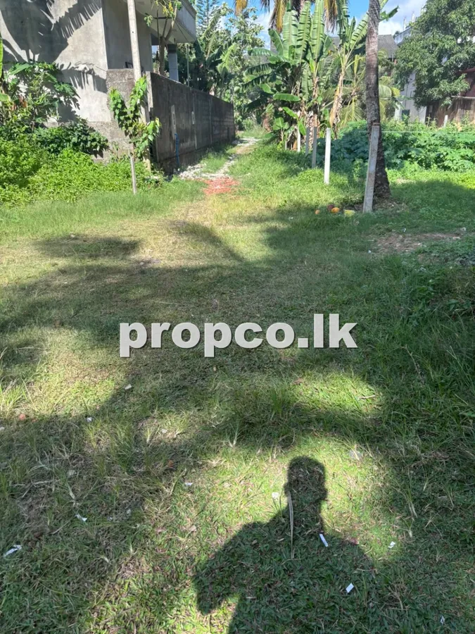 11 Perches Bare Land for Sale in Ekala