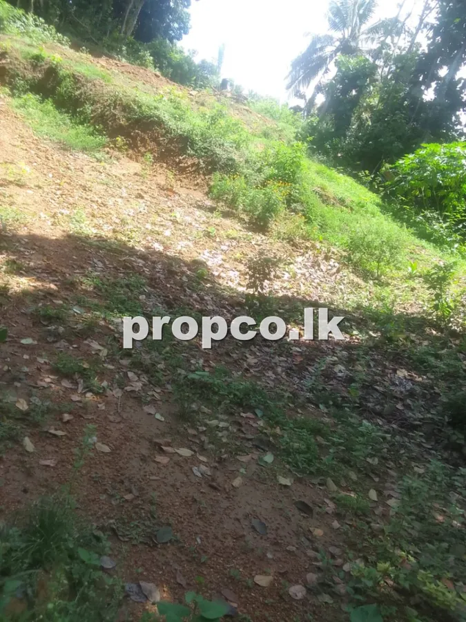 46.25 Perches Bare Land for Sale in Akmeemana