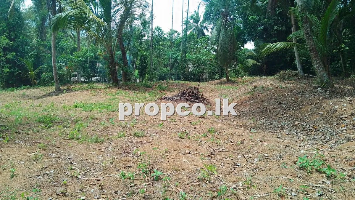 28 Perches Bare Land for Sale in Kirindiwela