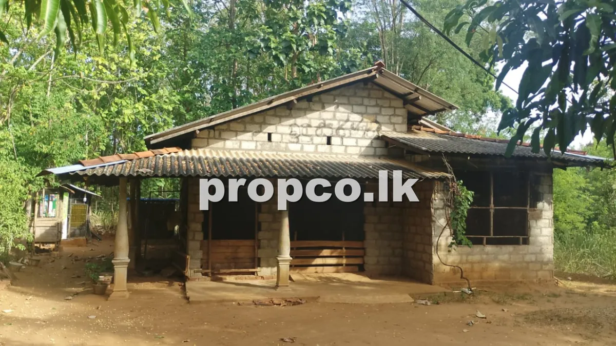 15 Perches Houses for Sale in Embilipitiya