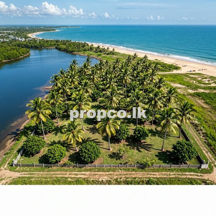60 Perches Commercial Land for Sale in Pitipana