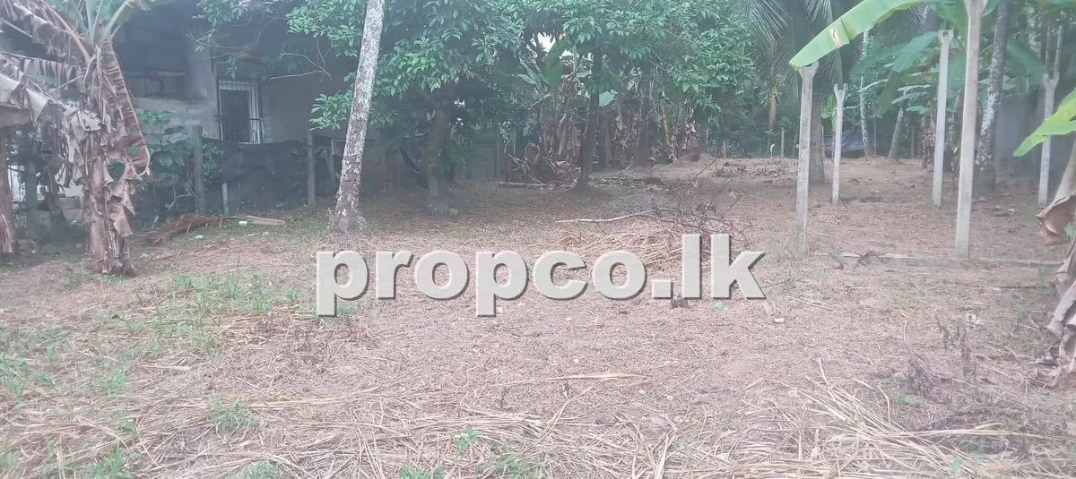 20 Perches Bare Land for Sale in Delgoda
