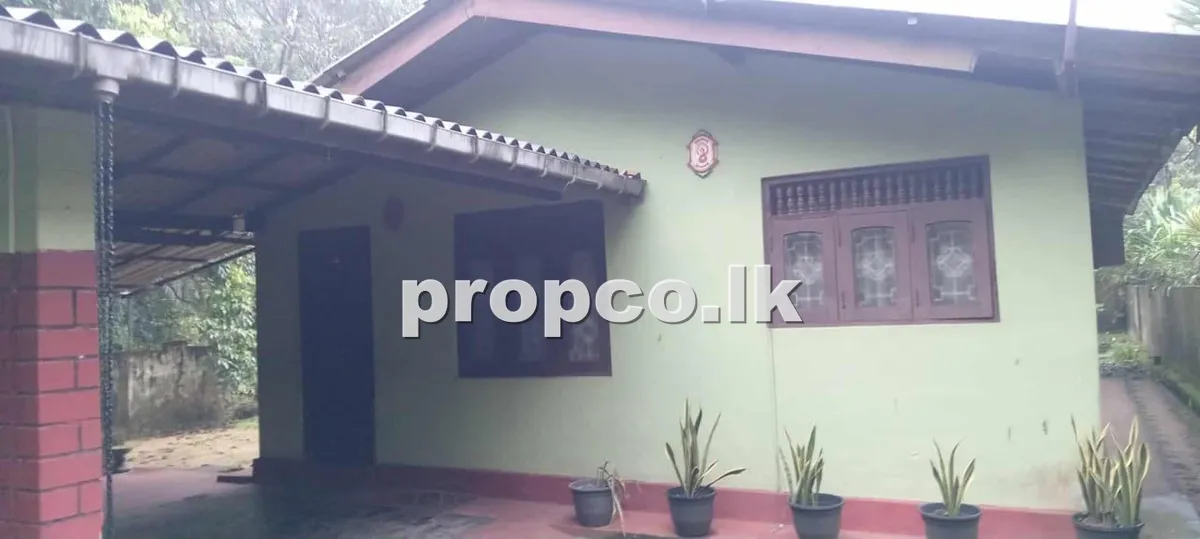 38.5 Perches Houses for Sale in Malwana