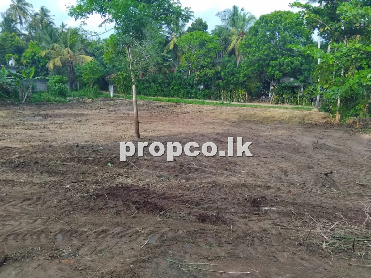 24.6 Perches Bare Land for Sale in Nakulugamuwa