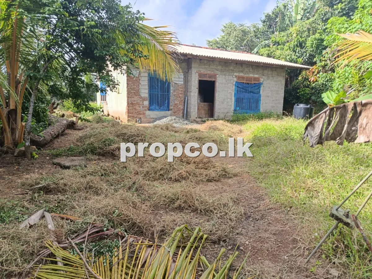 15.5 Perches Houses for Sale in Karapitiya
